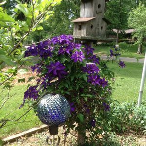 Meet your Posher, Marlene